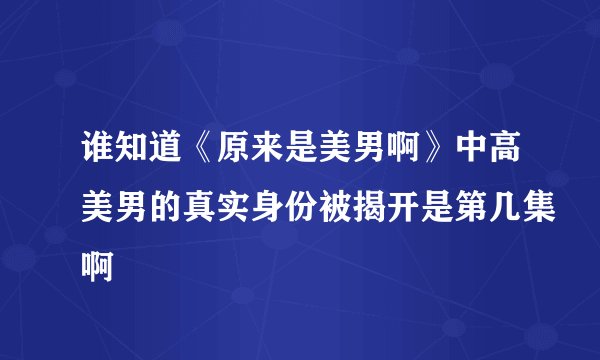 谁知道《原来是美男啊》中高美男的真实身份被揭开是第几集啊