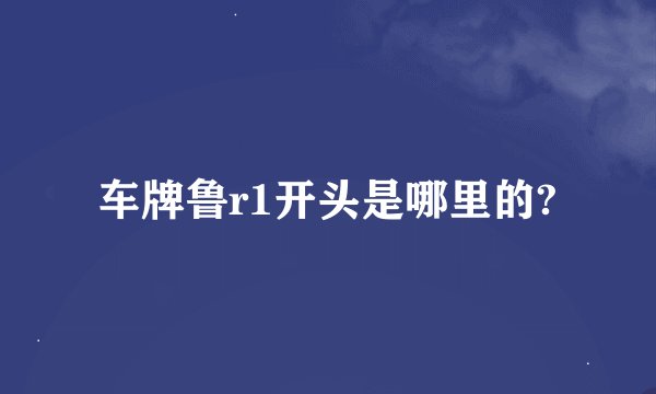 车牌鲁r1开头是哪里的?