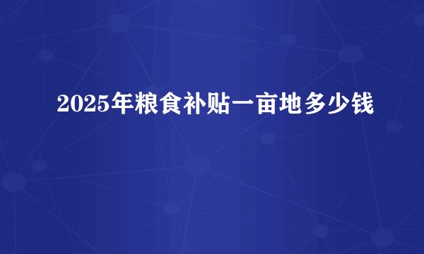 2025年粮食补贴一亩地多少钱