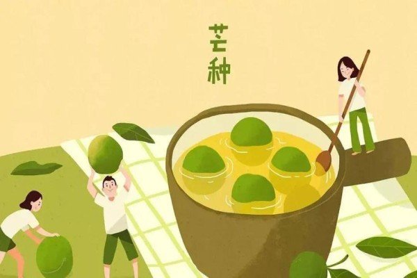 芒种风俗有哪些
