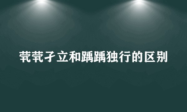 茕茕孑立和踽踽独行的区别