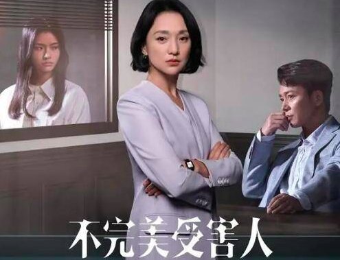 不完美受害人一共多少集大结局