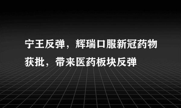 宁王反弹，辉瑞口服新冠药物获批，带来医药板块反弹