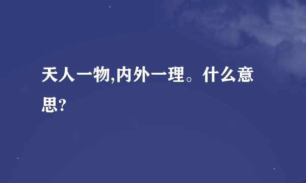 天人一物,内外一理。什么意思?