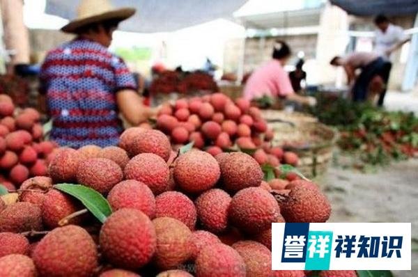 孕妇1天吃1斤荔枝，预产期前一周孩子没了？怀孕时这个指标不容忽视