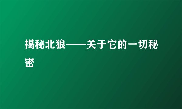 揭秘北狼——关于它的一切秘密