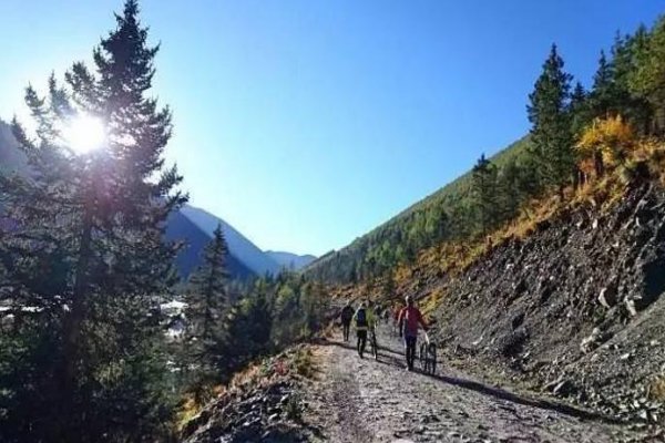 比喻前方道路曲折艰难的诗句