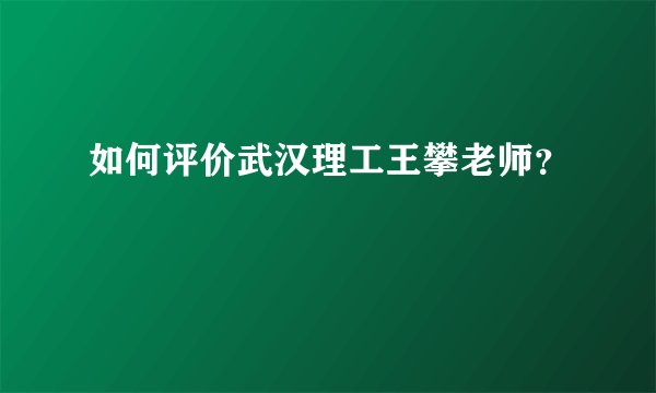 如何评价武汉理工王攀老师？