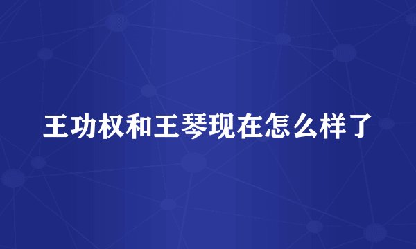 王功权和王琴现在怎么样了