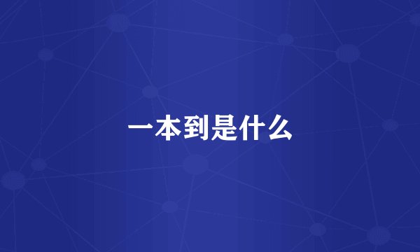 一本到是什么