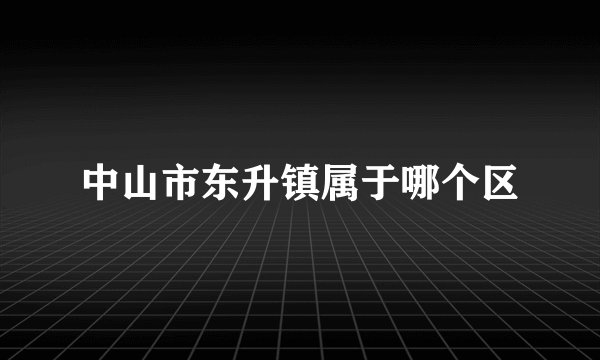 中山市东升镇属于哪个区