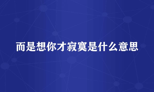 而是想你才寂寞是什么意思