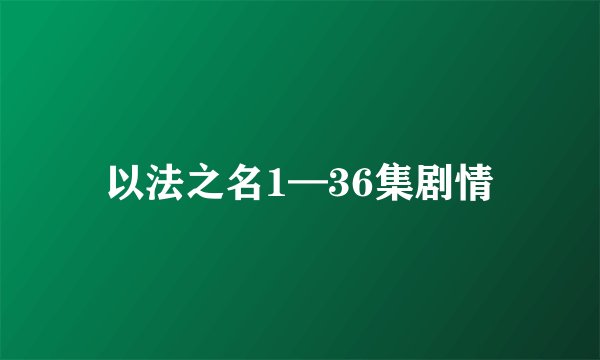 以法之名1—36集剧情