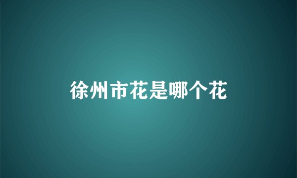 徐州市花是哪个花