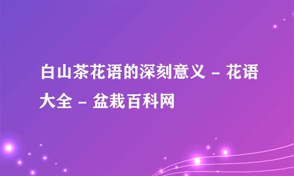 白山茶花语的深刻意义 - 花语大全 - 盆栽百科网