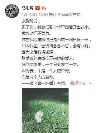 马思纯用错张爱玲语录被群嘲：拷问双商的时候，这届明星真是喝醉了
