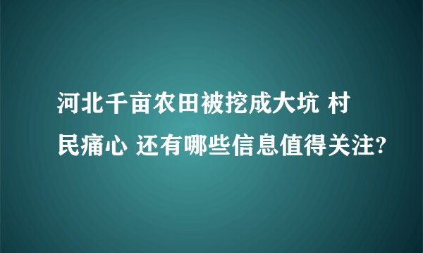 河北千亩农田被挖成大坑 村民痛心 还有哪些信息值得关注?