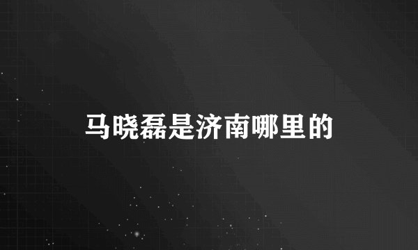 马晓磊是济南哪里的