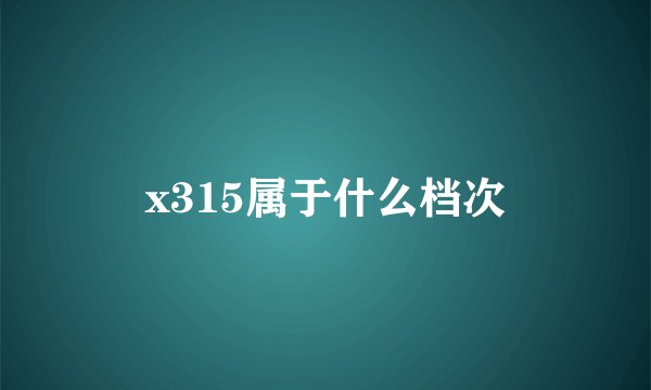 x315属于什么档次