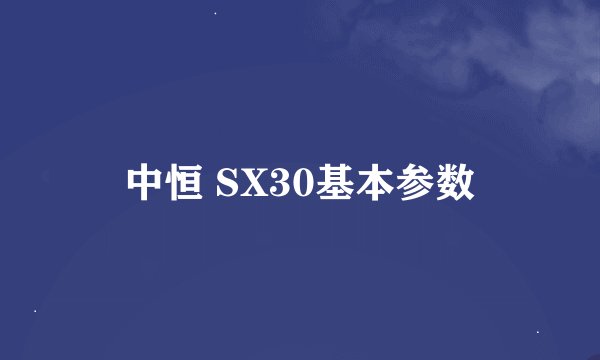 中恒 SX30基本参数