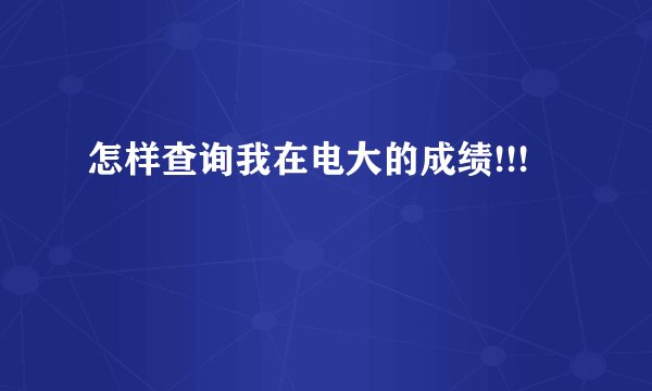 怎样查询我在电大的成绩!!!