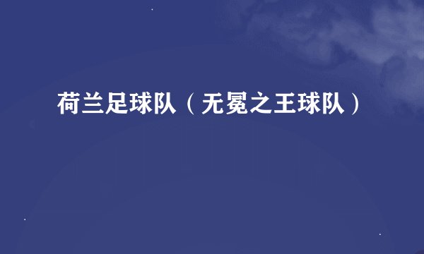 荷兰足球队（无冕之王球队）