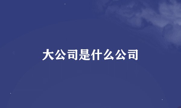 大公司是什么公司