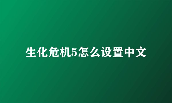 生化危机5怎么设置中文