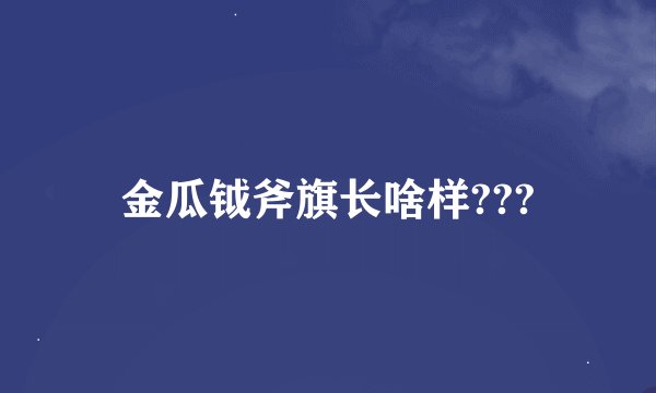 金瓜钺斧旗长啥样???