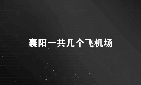 襄阳一共几个飞机场