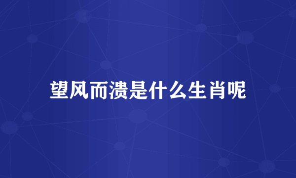 望风而溃是什么生肖呢