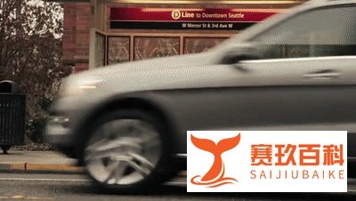 四川一狗狗独自乘公交车走红...网友惊了:它还会听站下车!