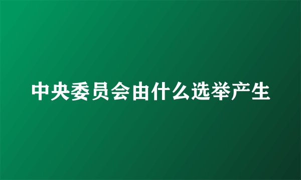 中央委员会由什么选举产生