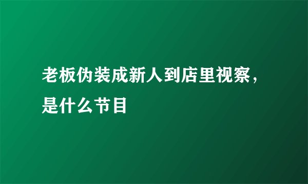 老板伪装成新人到店里视察，是什么节目