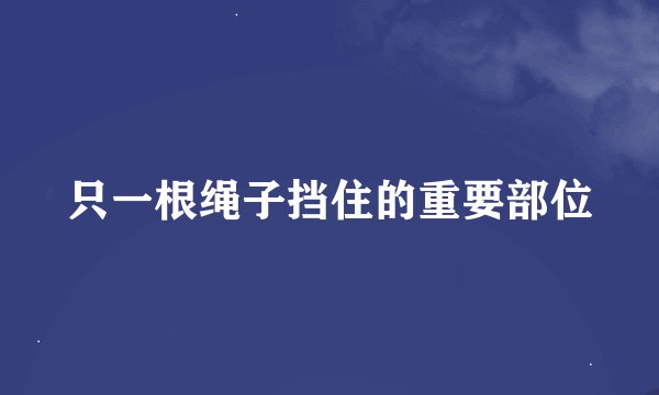 只一根绳子挡住的重要部位
