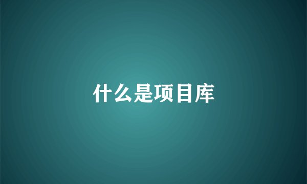 什么是项目库