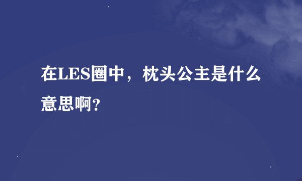 在LES圈中，枕头公主是什么意思啊？