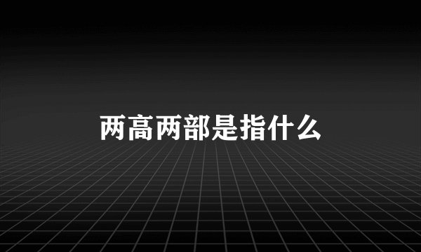 两高两部是指什么