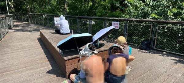 上海多家公园出现“辣眼睛”一幕：不论男女都在撩衣晒背？园方成了“三夹板”……