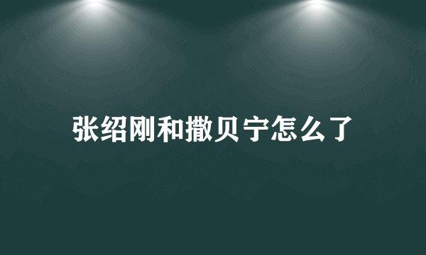 张绍刚和撒贝宁怎么了