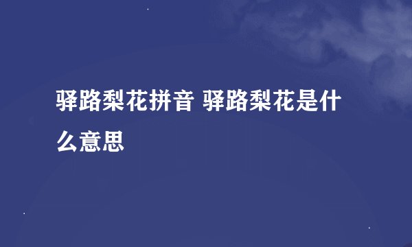 驿路梨花拼音 驿路梨花是什么意思
