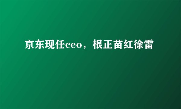 京东现任ceo，根正苗红徐雷