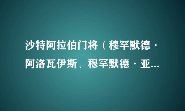 沙特阿拉伯门将（穆罕默德·阿洛瓦伊斯、穆罕默德·亚米、纳瓦夫·阿奇迪）