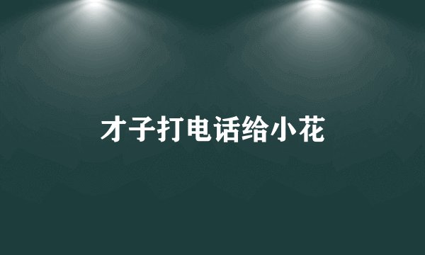 才子打电话给小花