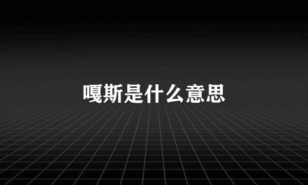 嘎斯是什么意思