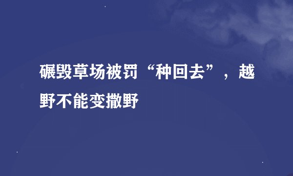 碾毁草场被罚“种回去”,越野不能变撒野