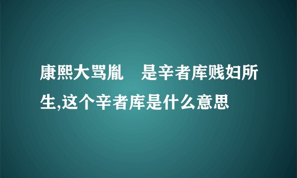 康熙大骂胤禩是辛者库贱妇所生,这个辛者库是什么意思