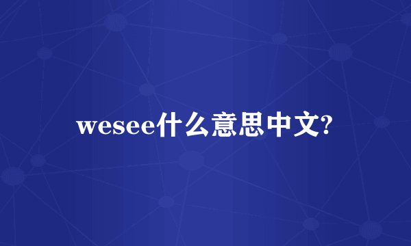 wesee什么意思中文?