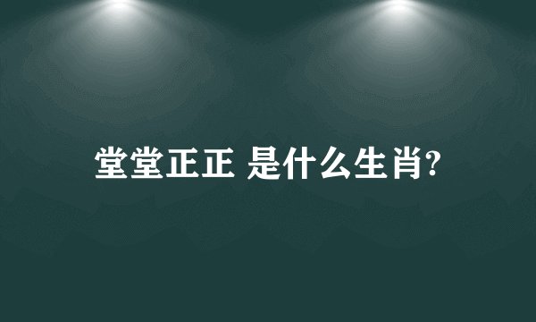 堂堂正正 是什么生肖?