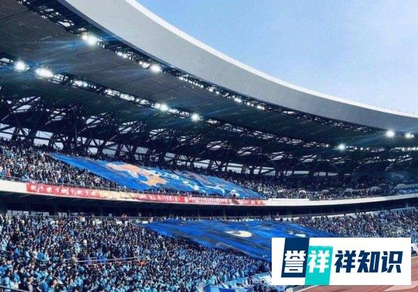 分析：天亮了？大连人终于解脱高薪低能 哈姆西克解约签约瑞超